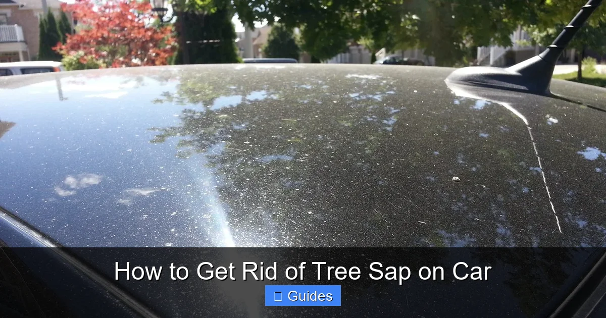 How to Get Rid of Tree Sap on Car