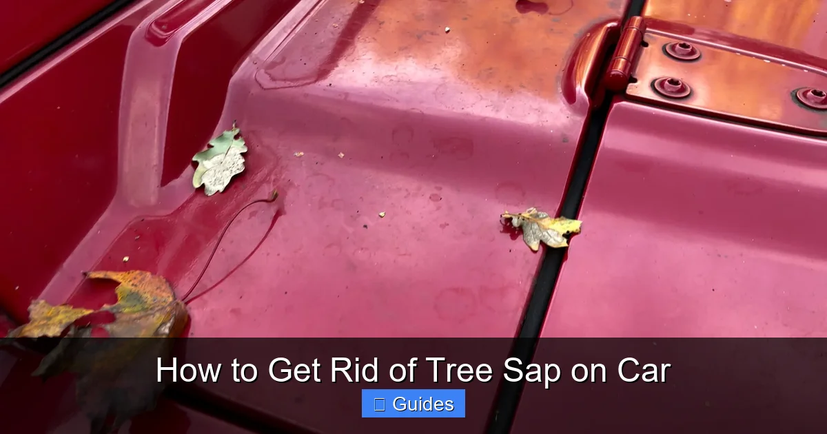 How to Get Rid of Tree Sap on Car