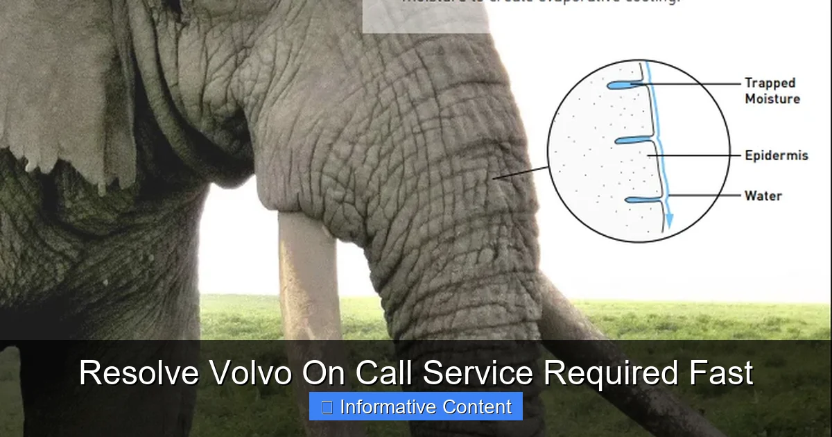 Resolve Volvo On Call Service Required Fast