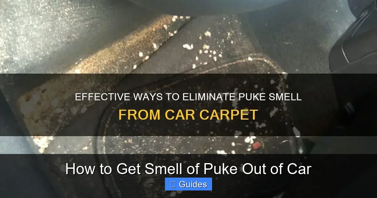 How to Get Smell of Puke Out of Car