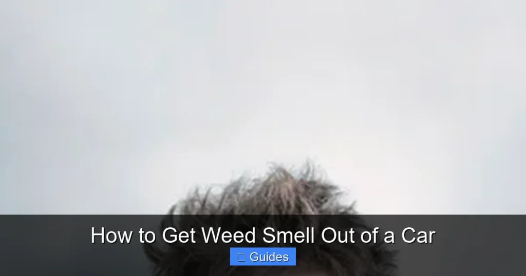 How to Get Weed Smell Out of a Car