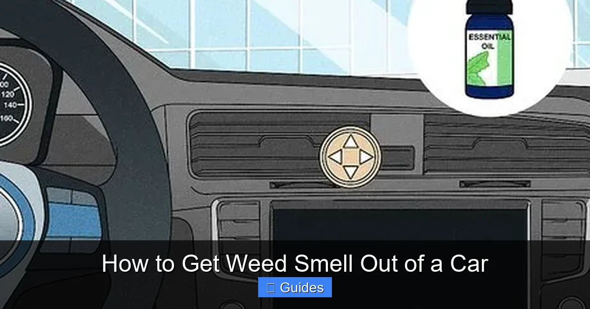 How to Get Weed Smell Out of a Car