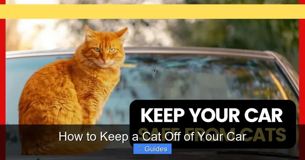 How to Keep a Cat Off of Your Car