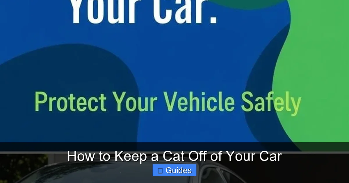 How to Keep a Cat Off of Your Car