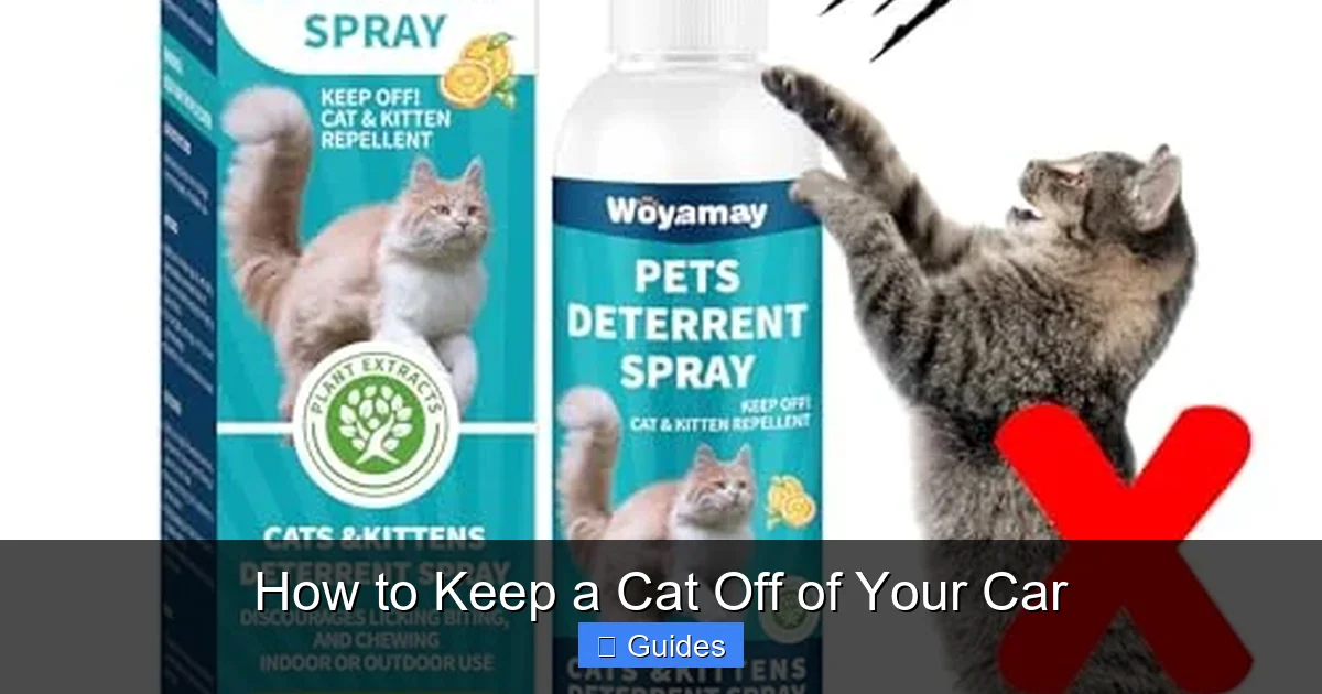 How to Keep a Cat Off of Your Car