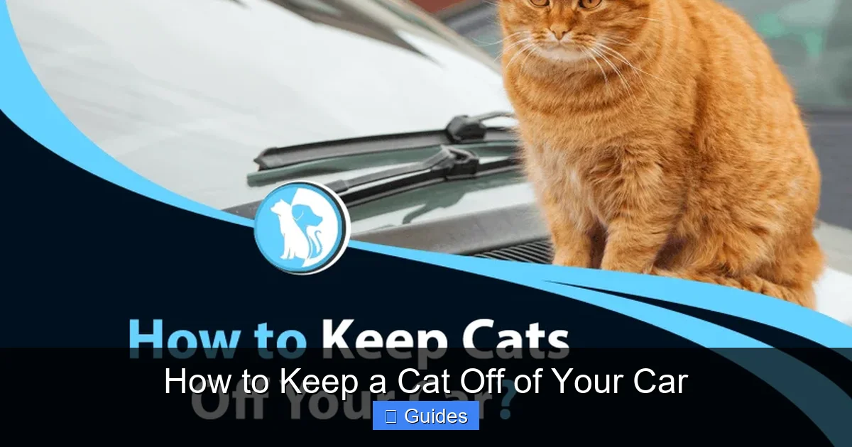 How to Keep a Cat Off of Your Car
