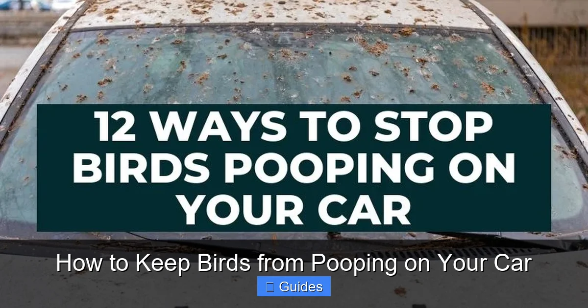 How to Keep Birds from Pooping on Your Car