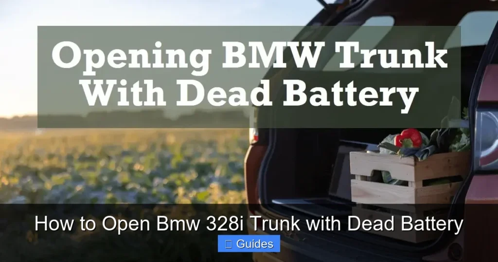 How to Open Bmw 328i Trunk with Dead Battery