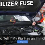How to Tell If My Kia Has an Immobilizer