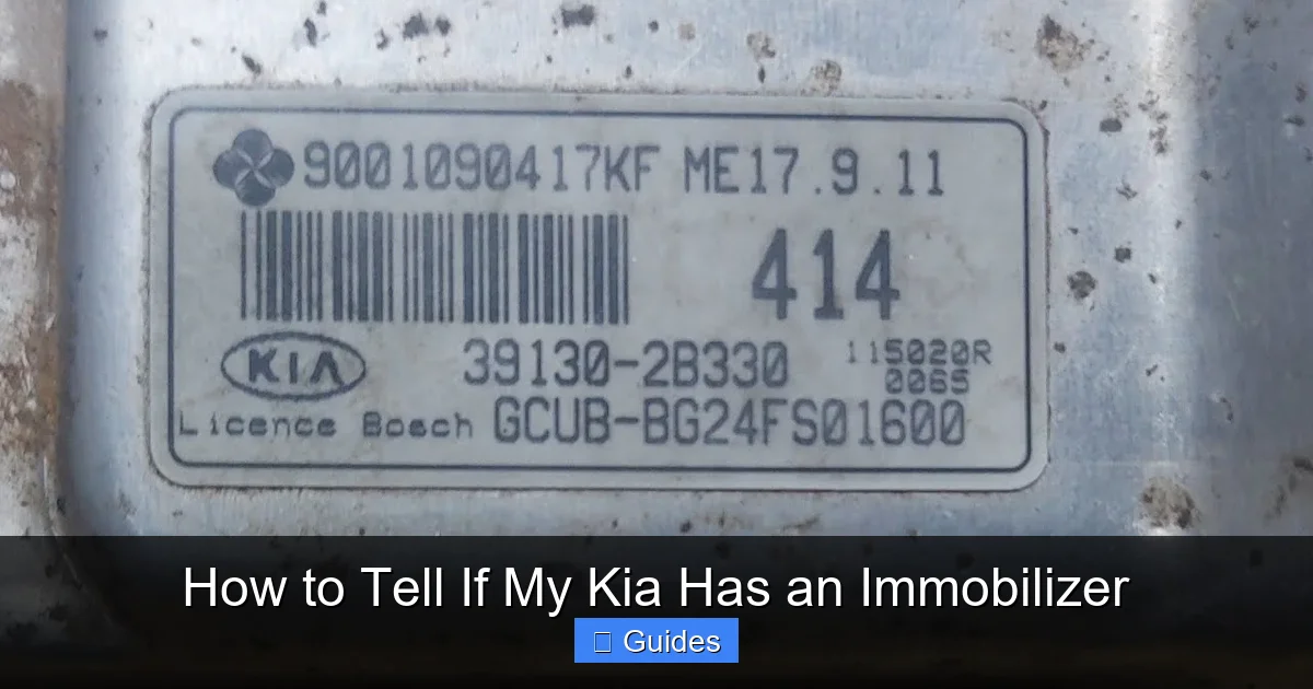 How to Tell If My Kia Has an Immobilizer