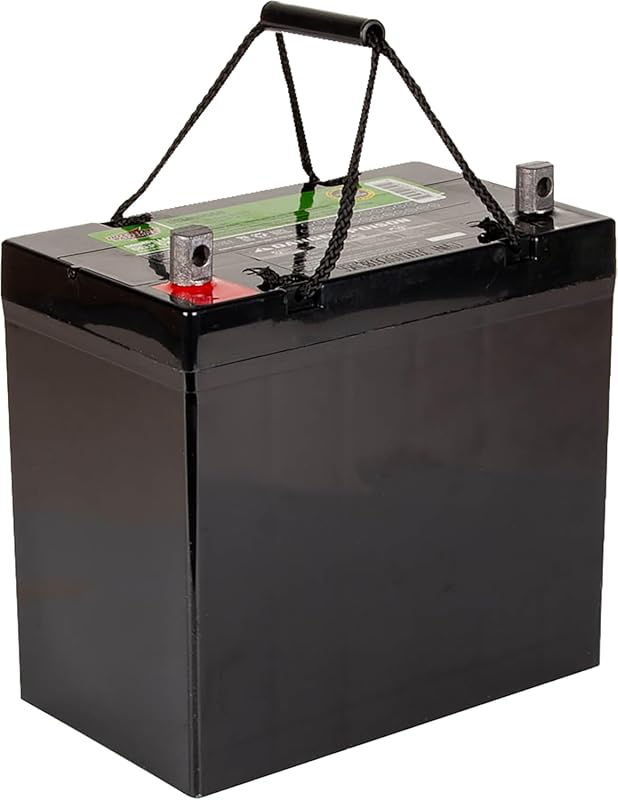 Interstate Batteries Group 22NF Deep Cycle AGM Battery: 12V 55Ah for M