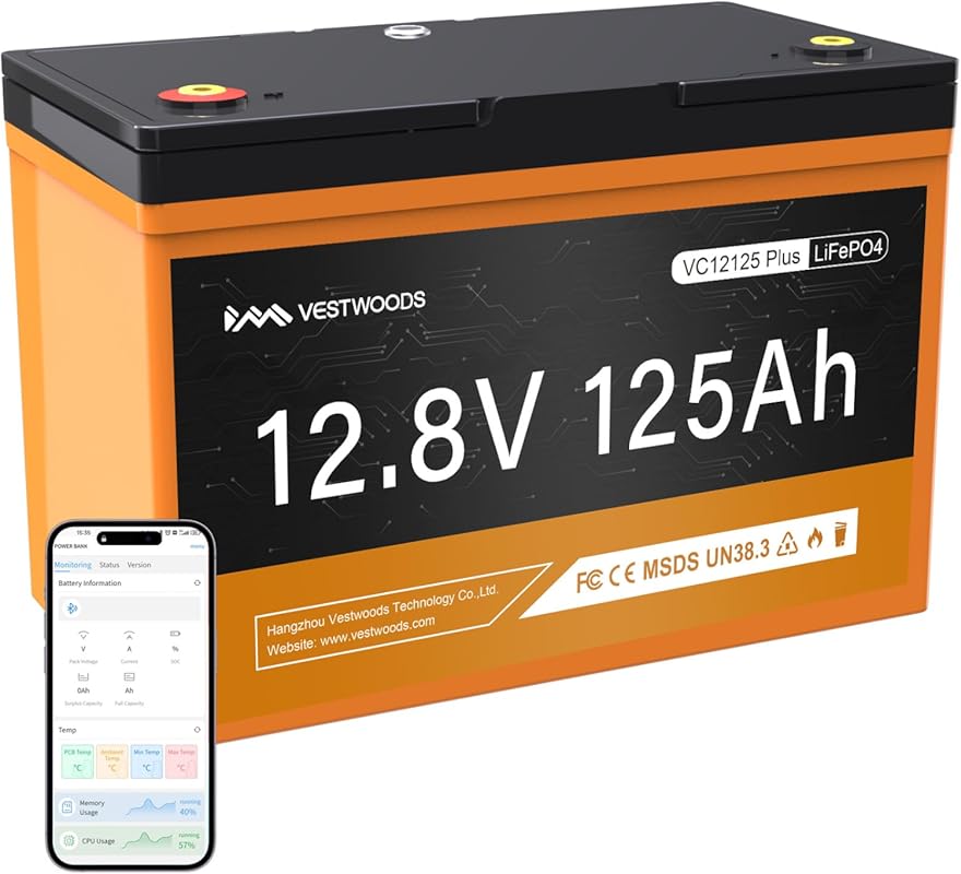 12V 125Ah LiFePO4 Group 27 Deep Cycle Battery with Bluetooth 100A BMS 