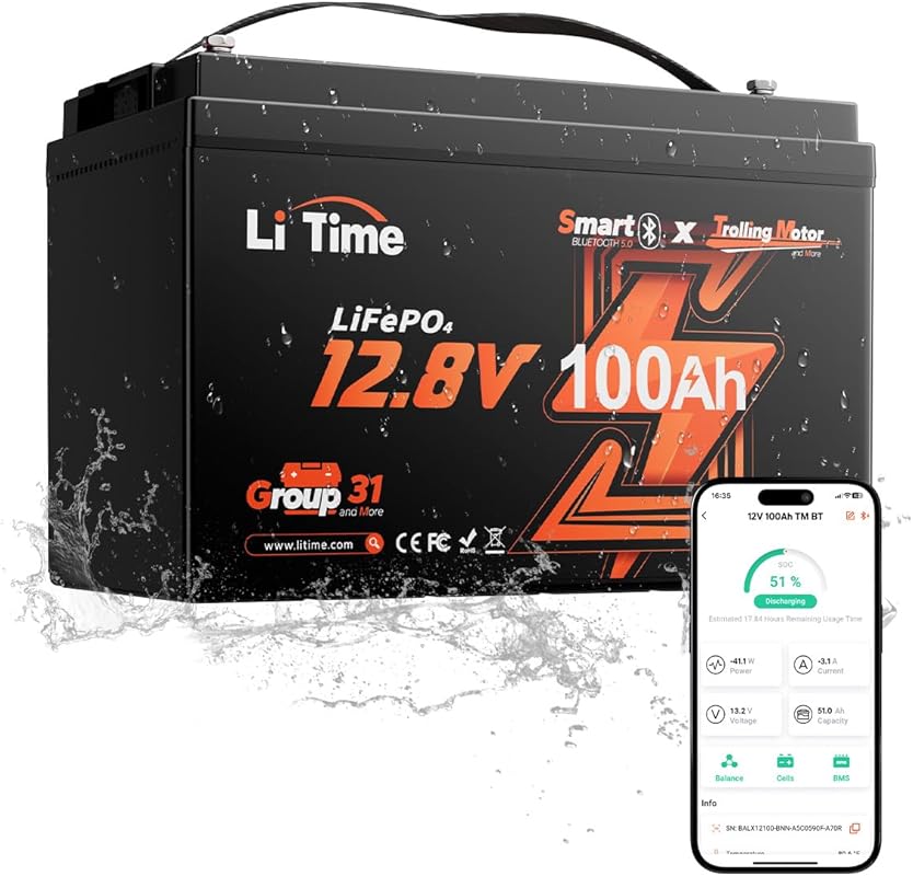 Best Budget Litime 12V 100Ah LiFePO4 Group 31 Battery with Bluetooth a