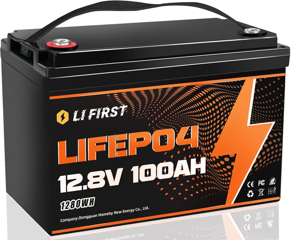 12V 100Ah LiFePO4 Battery with 15000 Cycles and 10-Year Lifespan for C