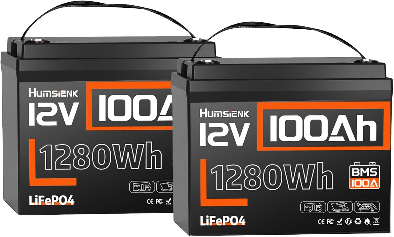 2-Pack of 12V 100Ah Group 24 LiFePO4 Batteries with 1280Wh Capacity 10
