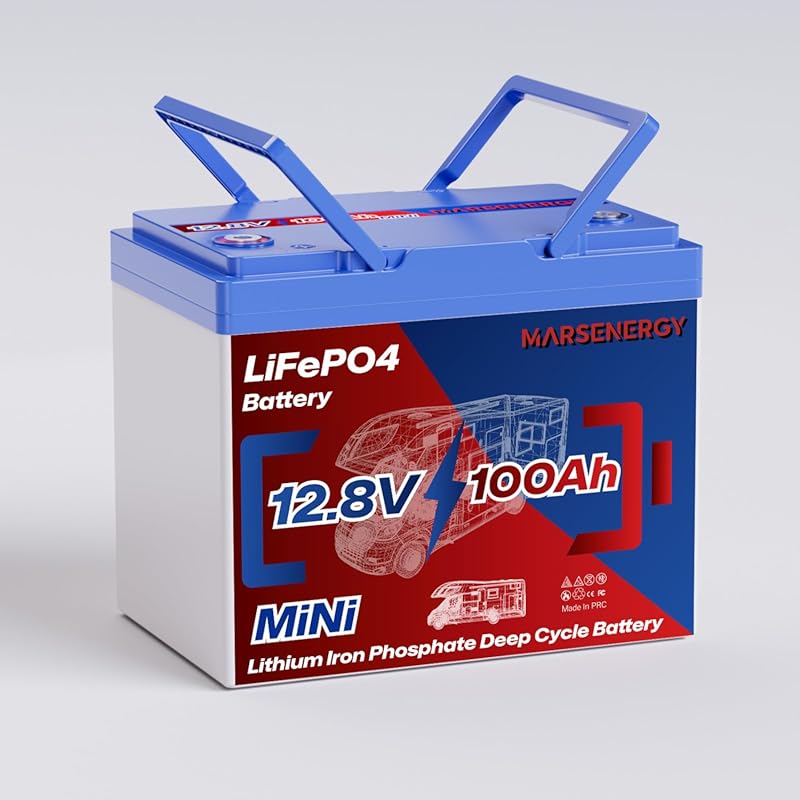 12V 100Ah LiFePO4 Deep Cycle Battery with Smart BMS for Camping and So