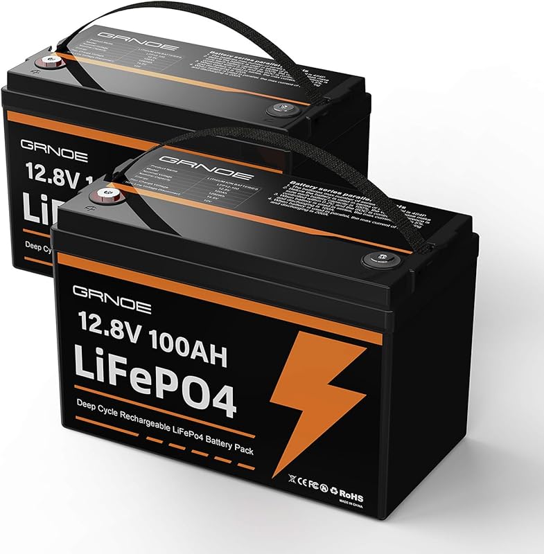 Best Budget 2-Pack 12V 100Ah LiFePO4 Group 31 Batteries with 100A BMS 