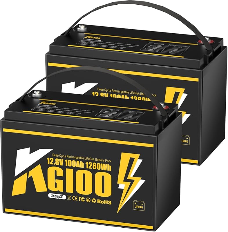 12V 100Ah Group 24 LiFePO4 Deep Cycle Battery with Smart BMS for RV an
