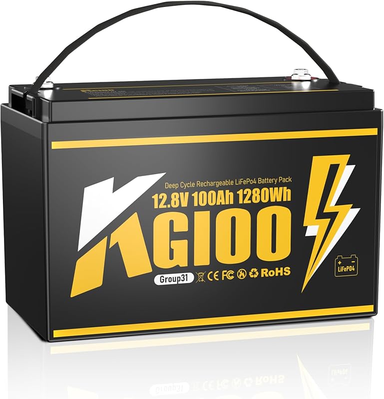 Group 31 12V 100Ah LiFePO4 Battery with 15000 Cycles and BMS for Troll