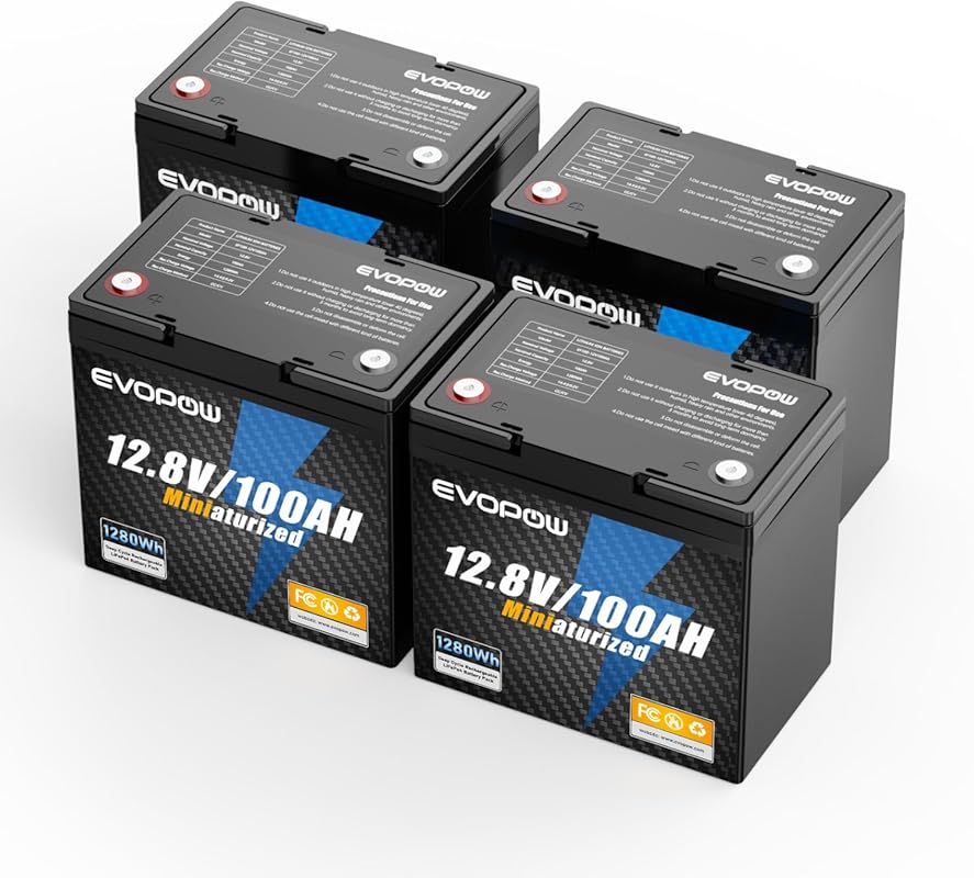 12V 100Ah Group 24 LiFePO4 Deep Cycle Battery with Smart BMS for RV Ca