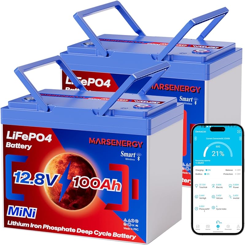 12V 100Ah LiFePO4 Deep Cycle Battery with Bluetooth for Camping and Of