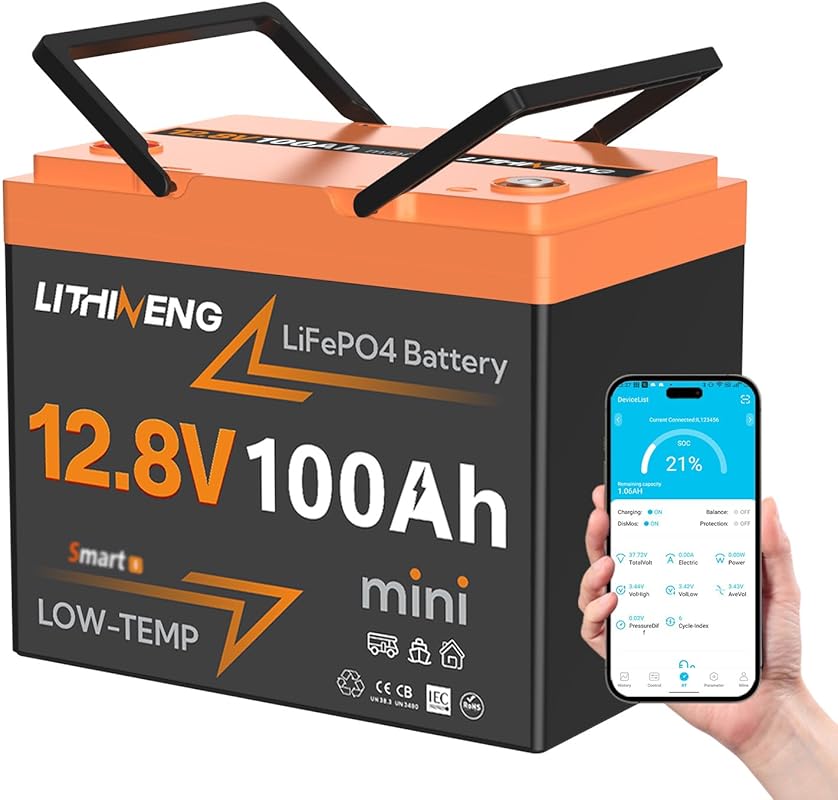12V 100Ah LiFePO4 Battery with Bluetooth, BMS, Low-Temp Protection, an