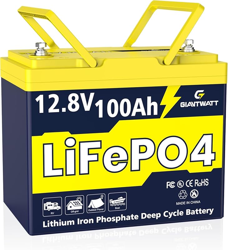 Group 24 12V 100Ah LiFePO4 Battery with 15000 Cycles and BMS for RV an