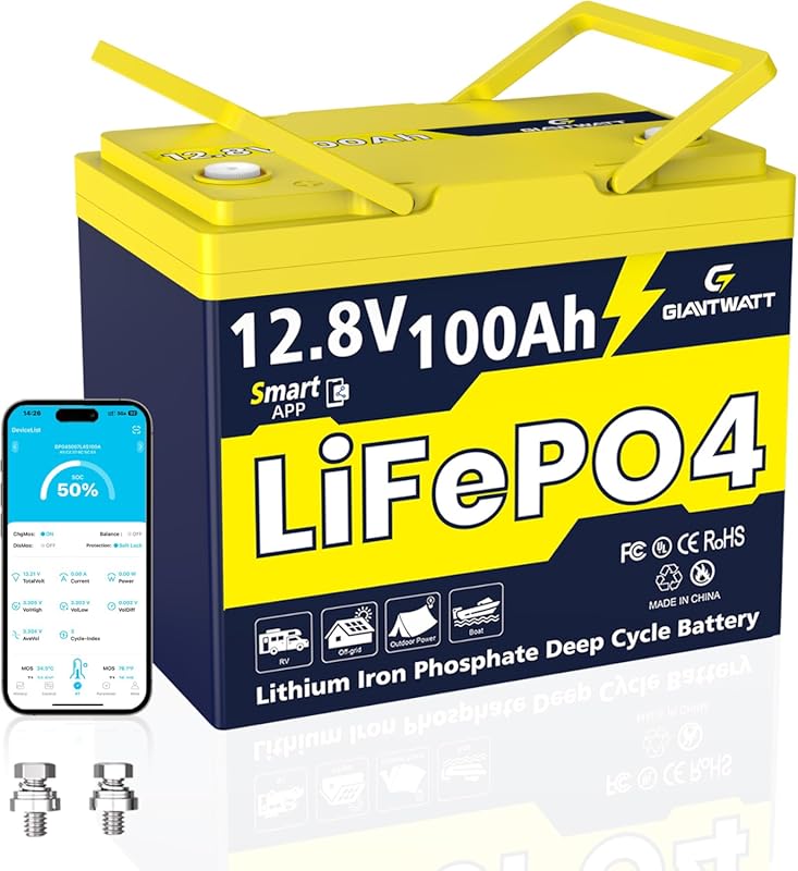 2-Pack of Compact 12V 100Ah LiFePO4 Batteries for RV Solar and Camping