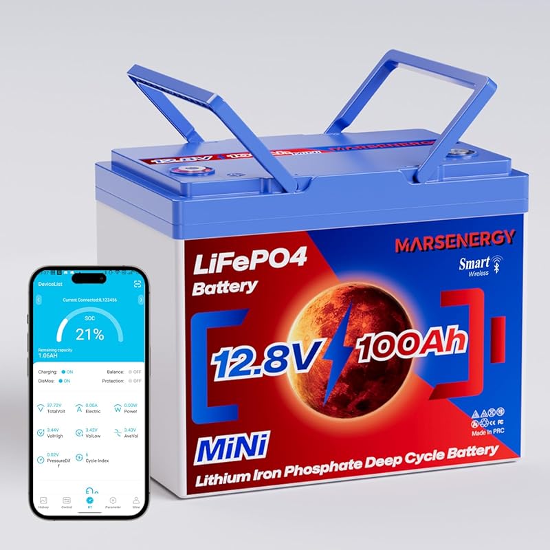 12V 100Ah LiFePO4 Deep Cycle Battery with Bluetooth for Camping RV and