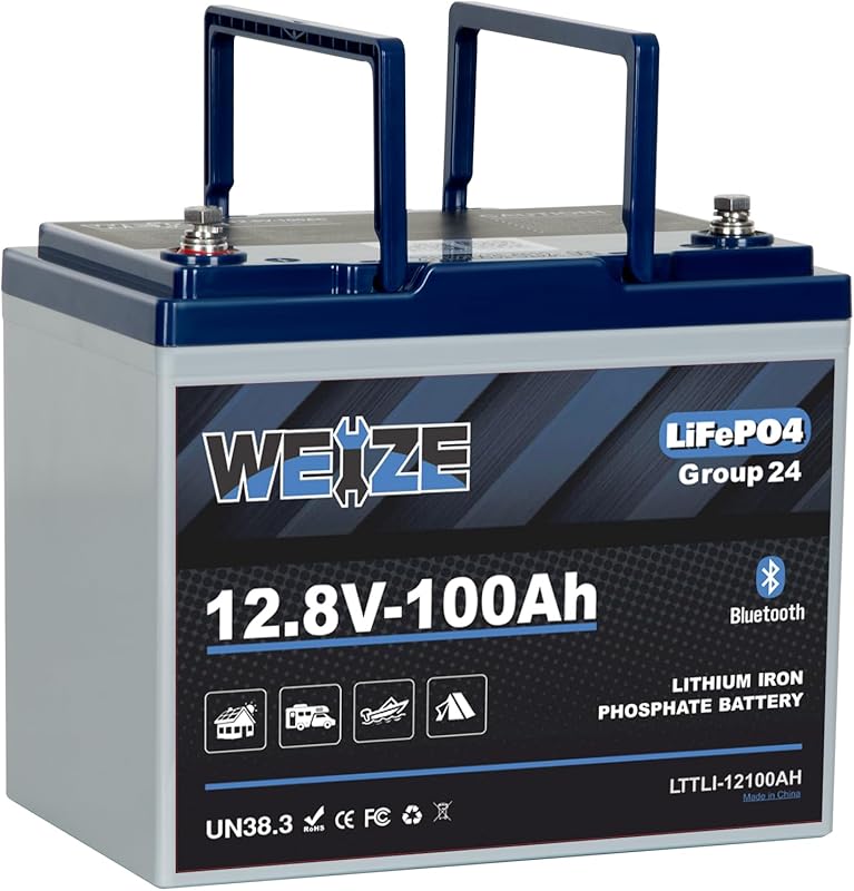 Weize 12V 100Ah Group 24 LiFePO4 Battery with Bluetooth and Low-Temp P