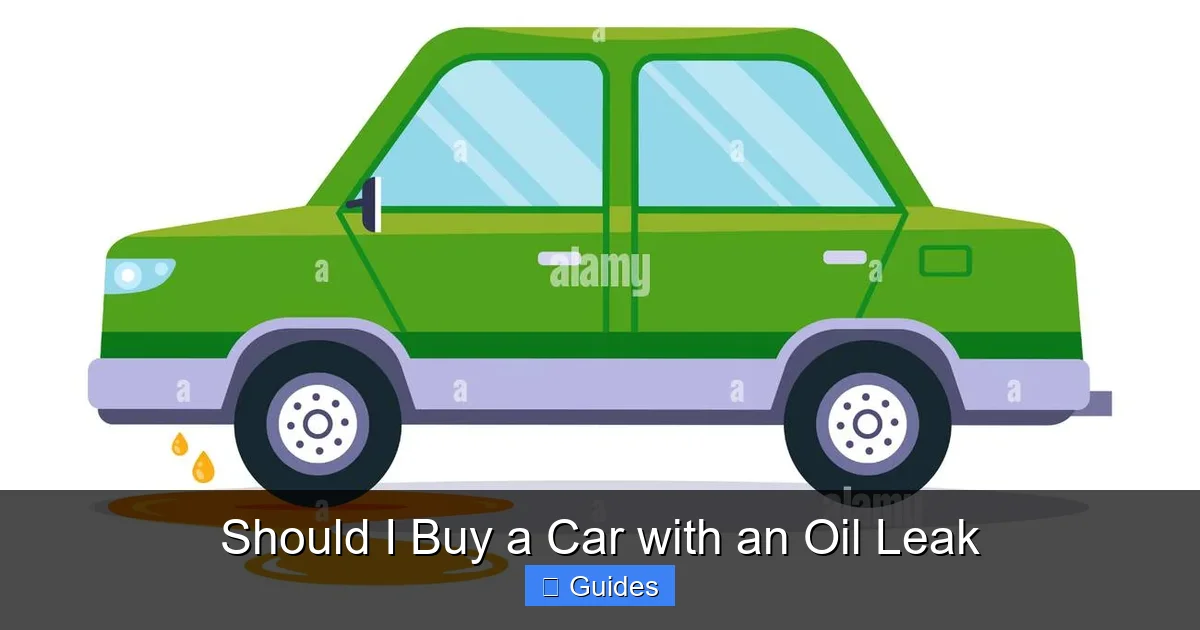 Should I Buy a Car with an Oil Leak
