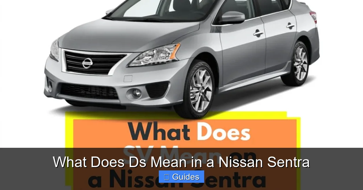 What Does Ds Mean in a Nissan Sentra