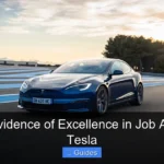 What Is Evidence of Excellence in Job Application Tesla