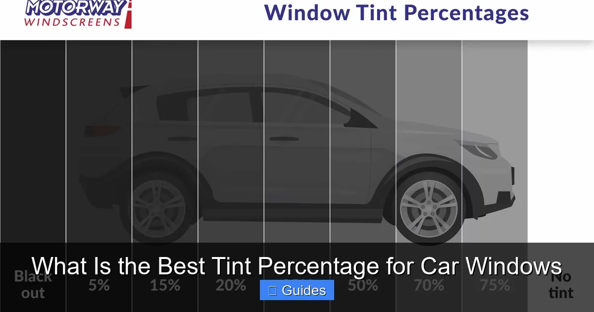 What Is the Best Tint Percentage for Car Windows