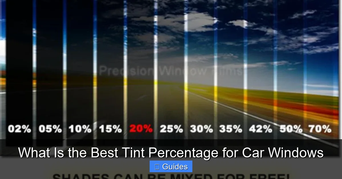 What Is the Best Tint Percentage for Car Windows
