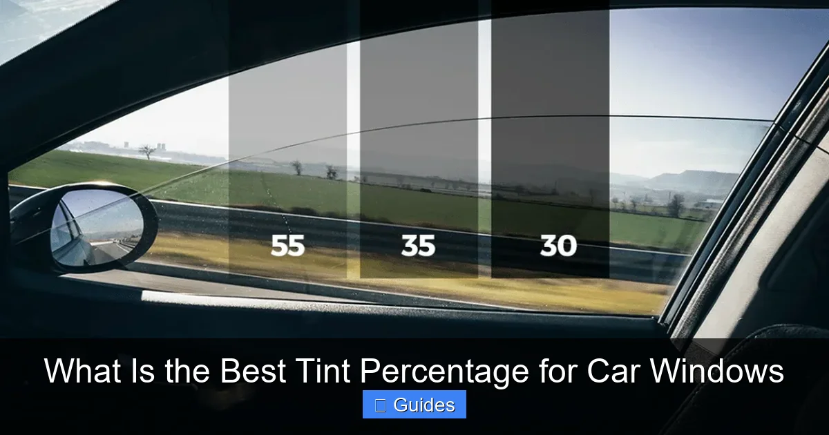 What Is the Best Tint Percentage for Car Windows
