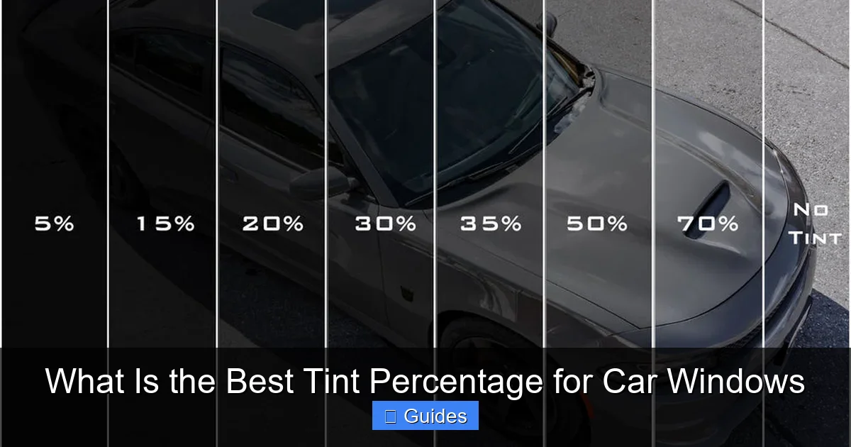 What Is the Best Tint Percentage for Car Windows