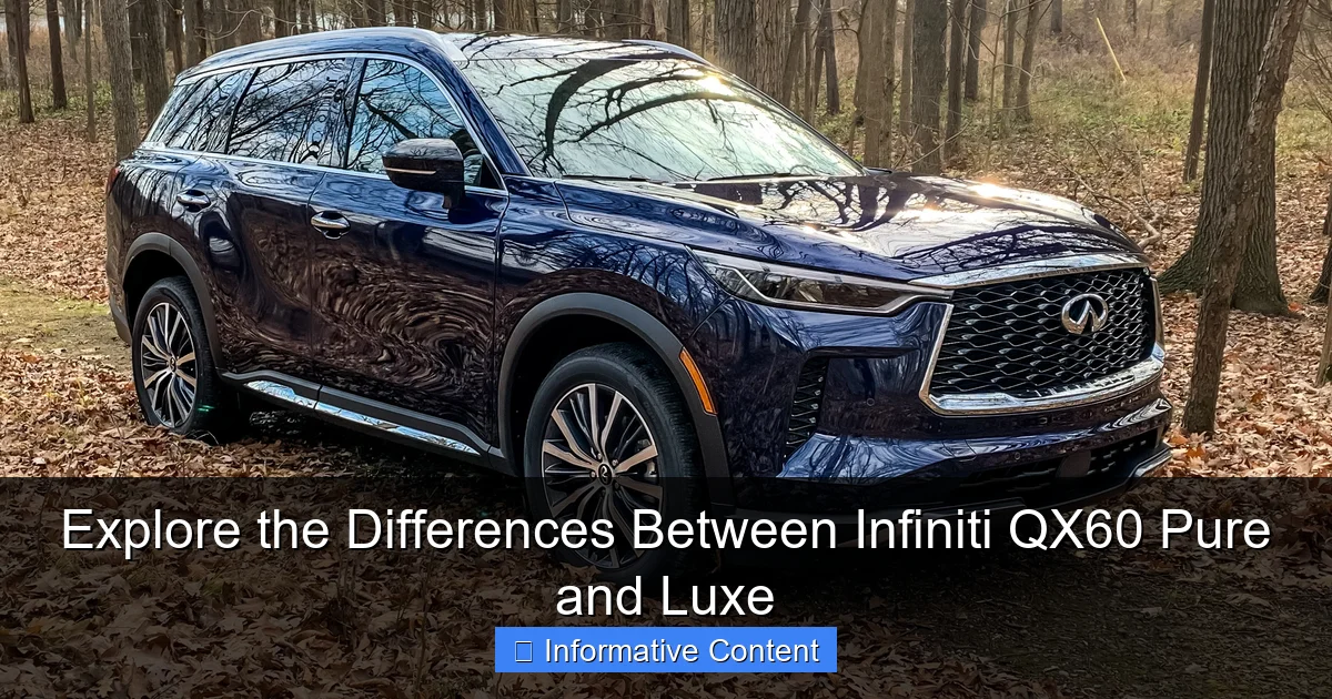 Explore the Differences Between Infiniti QX60 Pure and Luxe