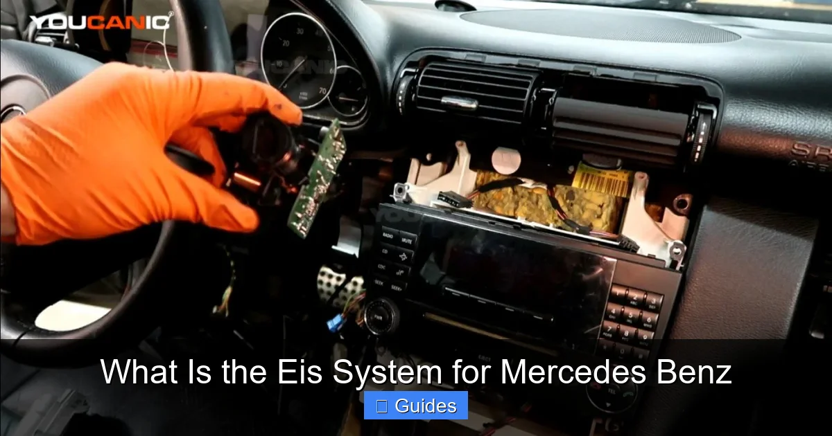 What Is the Eis System for Mercedes Benz