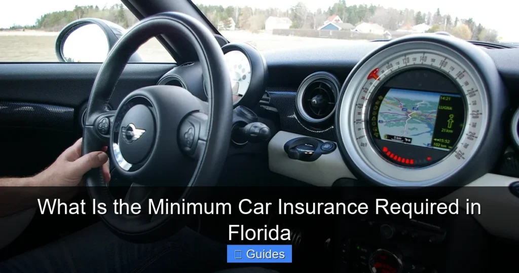 What Is the Minimum Car Insurance Required in Florida
