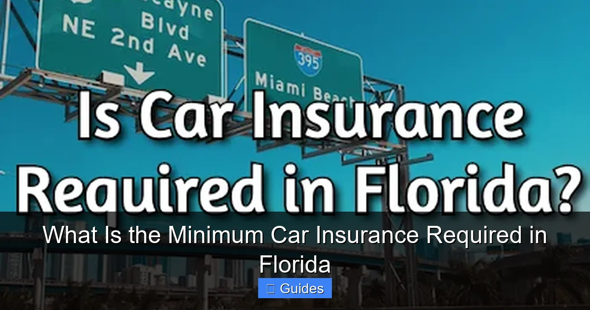 What Is the Minimum Car Insurance Required in Florida