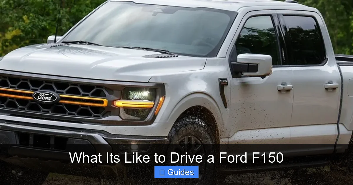 What Its Like to Drive a Ford F150