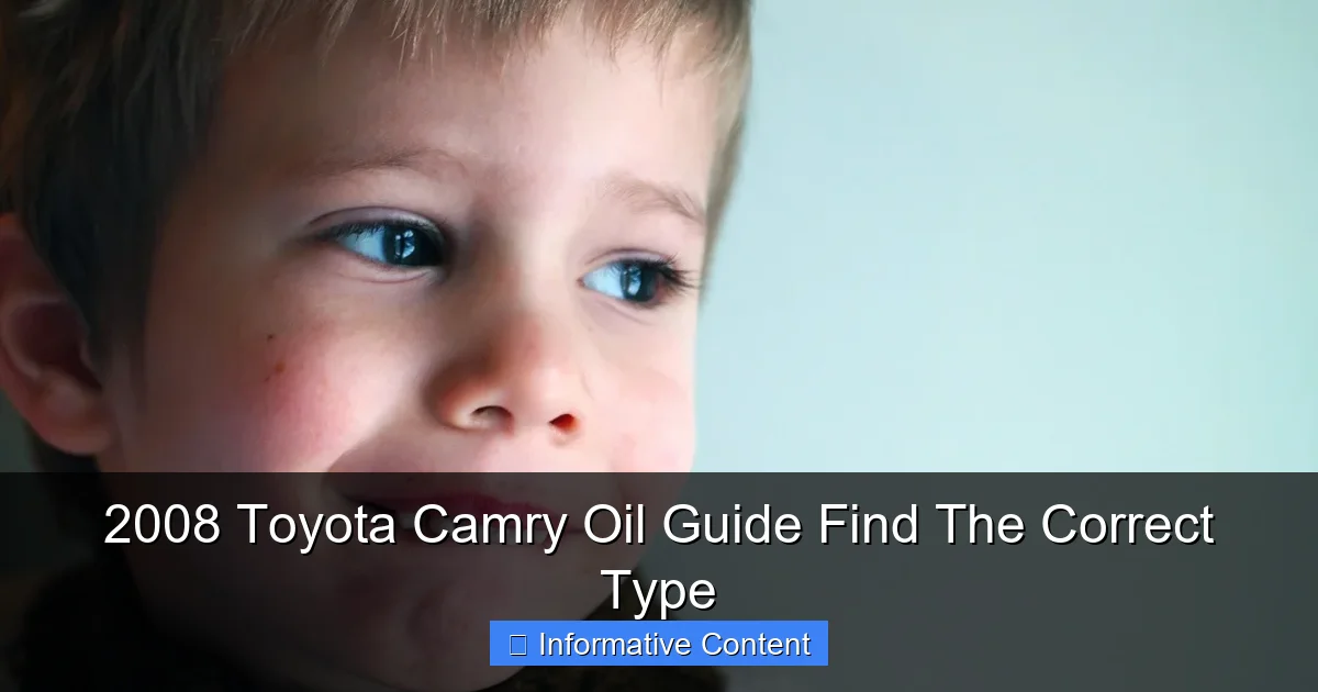 2008 Toyota Camry Oil Guide Find The Correct Type