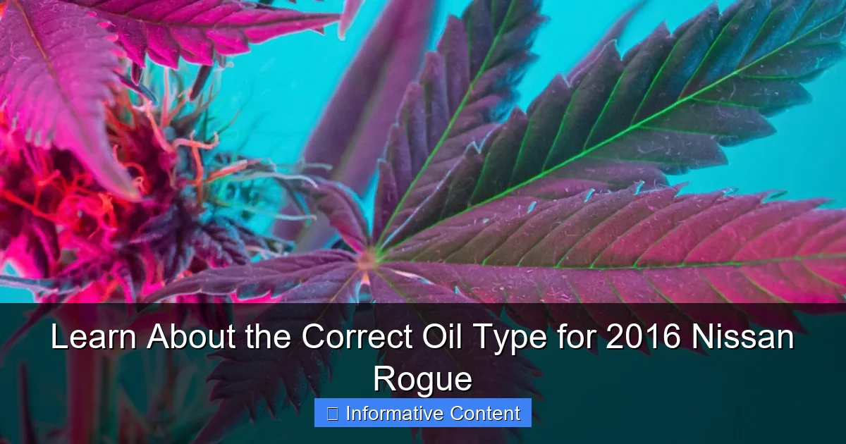 Learn About the Correct Oil Type for 2016 Nissan Rogue