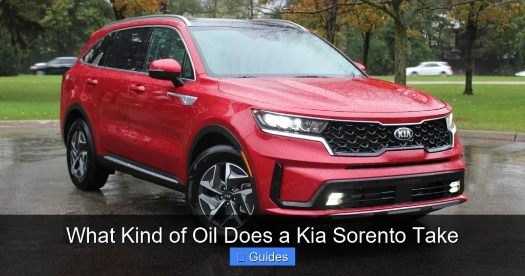 What Kind of Oil Does a Kia Sorento Take