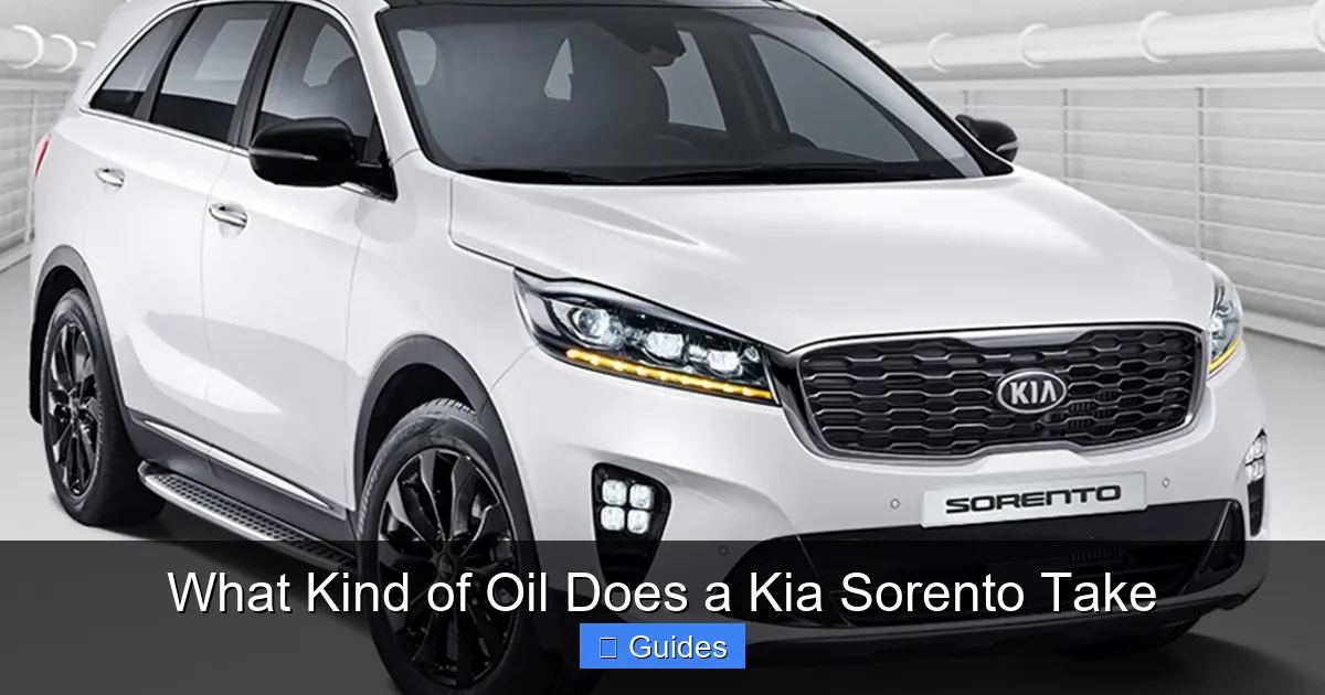 What Kind of Oil Does a Kia Sorento Take