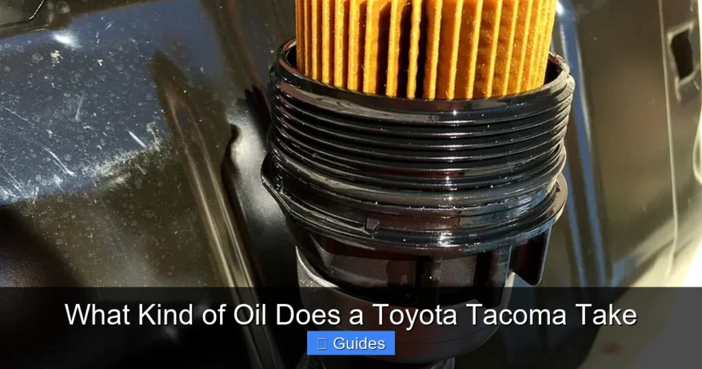 What Kind of Oil Does a Toyota Tacoma Take