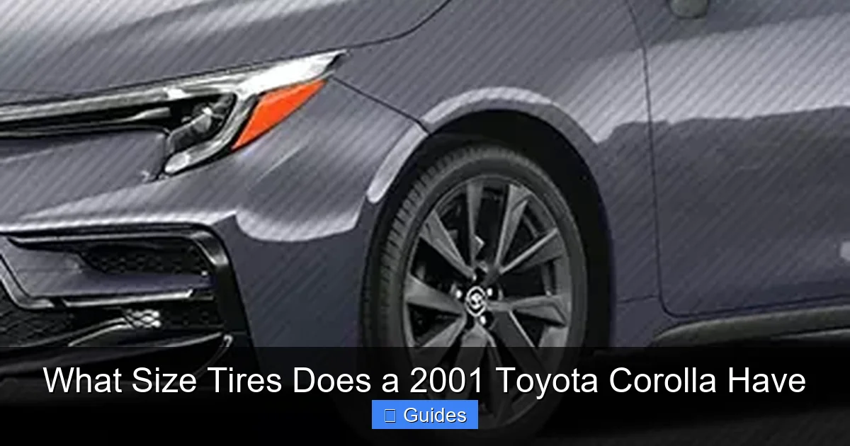 What Size Tires Does a 2001 Toyota Corolla Have