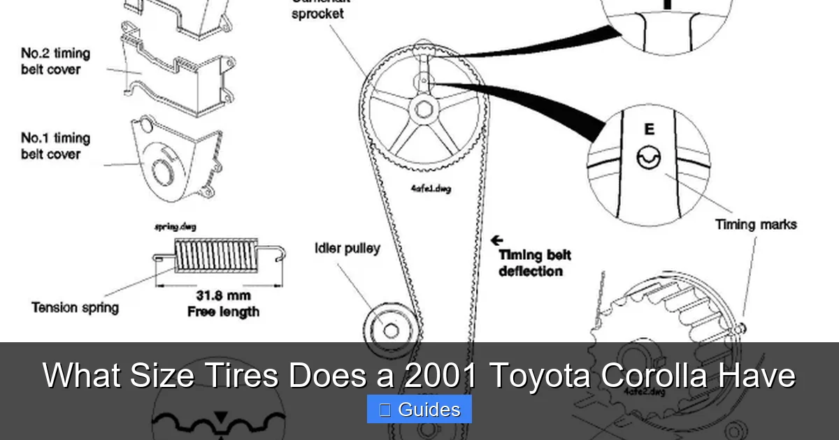 What Size Tires Does a 2001 Toyota Corolla Have