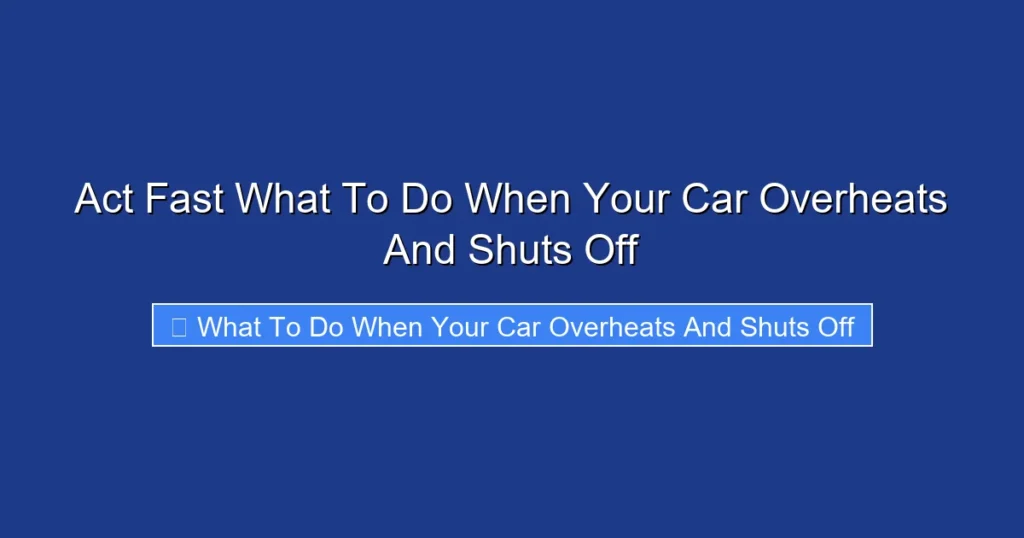 Act Fast What To Do When Your Car Overheats And Shuts Off